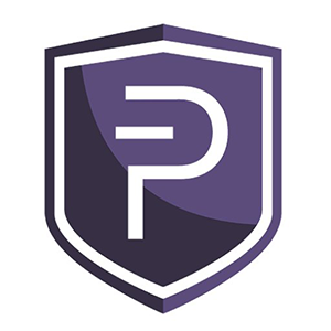 Private Instant Verified Transaction Coin Logo